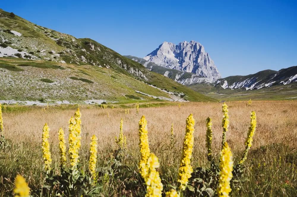 Nature & paysages